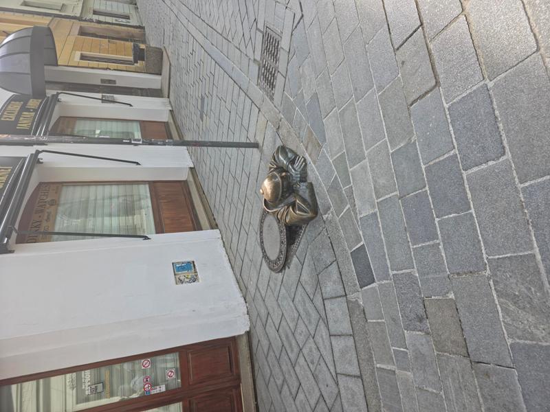 ИЗЛЕТ У ПРАГ У ОРГАНИЗАЦИЈИ СО НОВИ САД